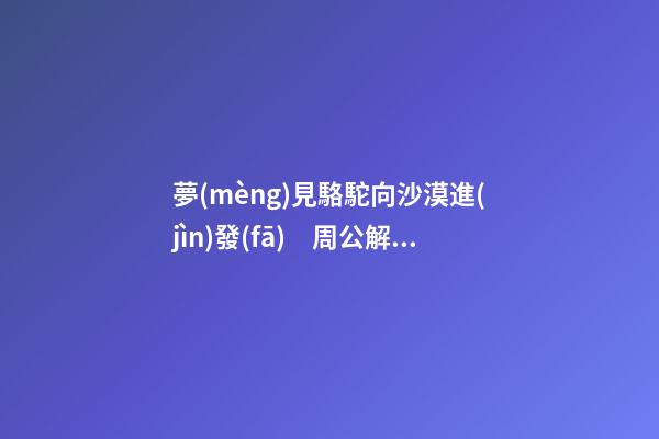 夢(mèng)見駱駝向沙漠進(jìn)發(fā)　周公解夢(mèng)之夢(mèng)到駱駝向沙漠進(jìn)發(fā)